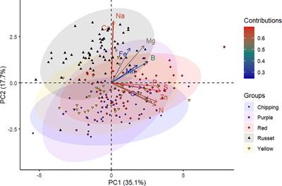 Variation and genetic basis of mineral content in potato tubers and prospects for genomic selection